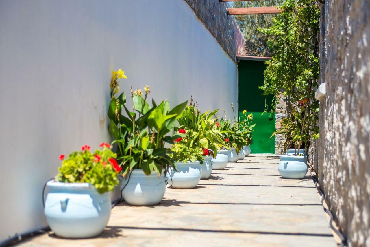 Villa Helios Калатос Екстериор снимка